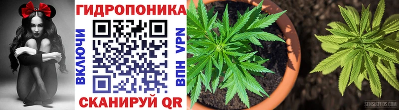 Магазин наркотиков Калининск Марихуана  Псилоцибиновые грибы  ГАШ  COCAIN  ссылка на мегу ТОР  А ПВП 