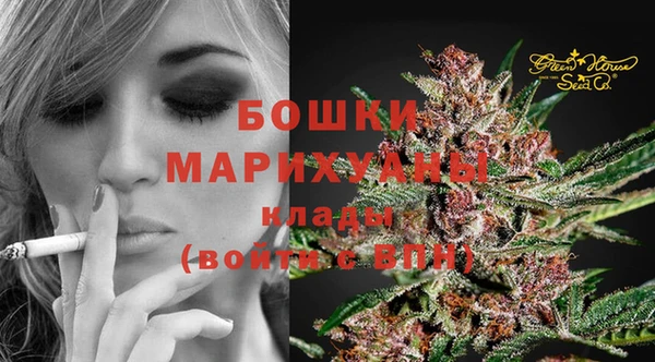 прущие грибы Волосово