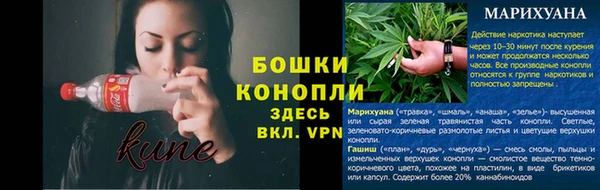прущие грибы Волосово