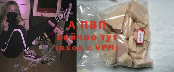 прущие грибы Волосово
