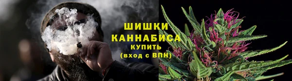 прущие грибы Волосово
