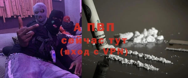 прущие грибы Волосово