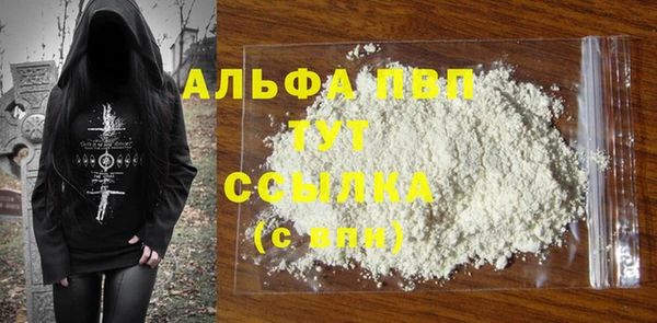 прущие грибы Волосово