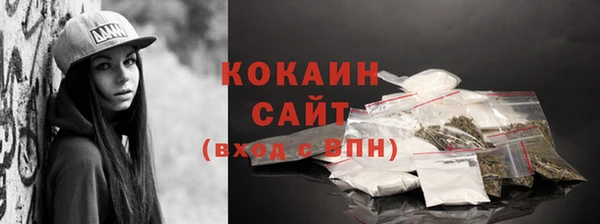 индика Бородино