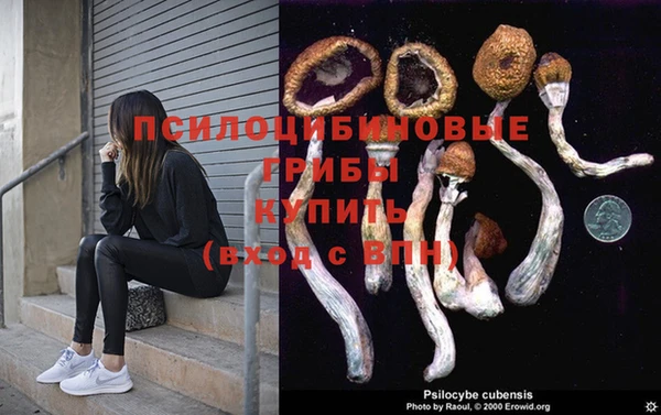 прущий лед Володарск