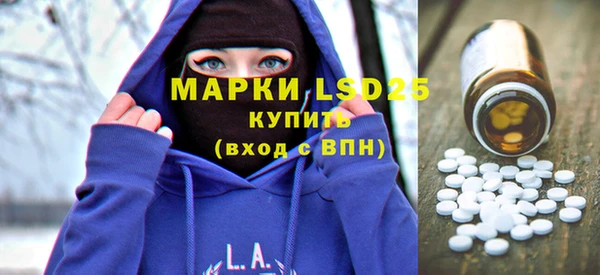 ПСИЛОЦИБИНОВЫЕ ГРИБЫ Михайлов