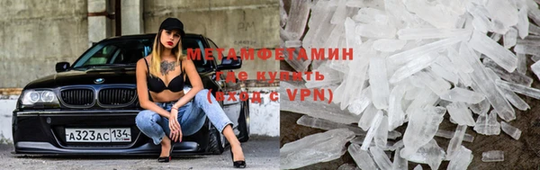 прущие грибы Волосово